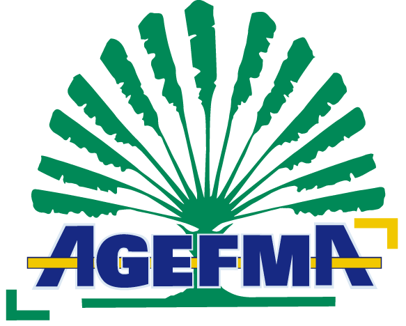 agefma-logo