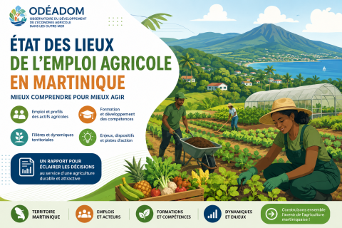 AGRICULTURE